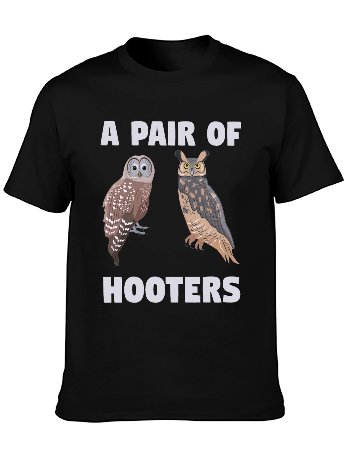 A Pair of Hooters Owls Graphic T-Shirt
