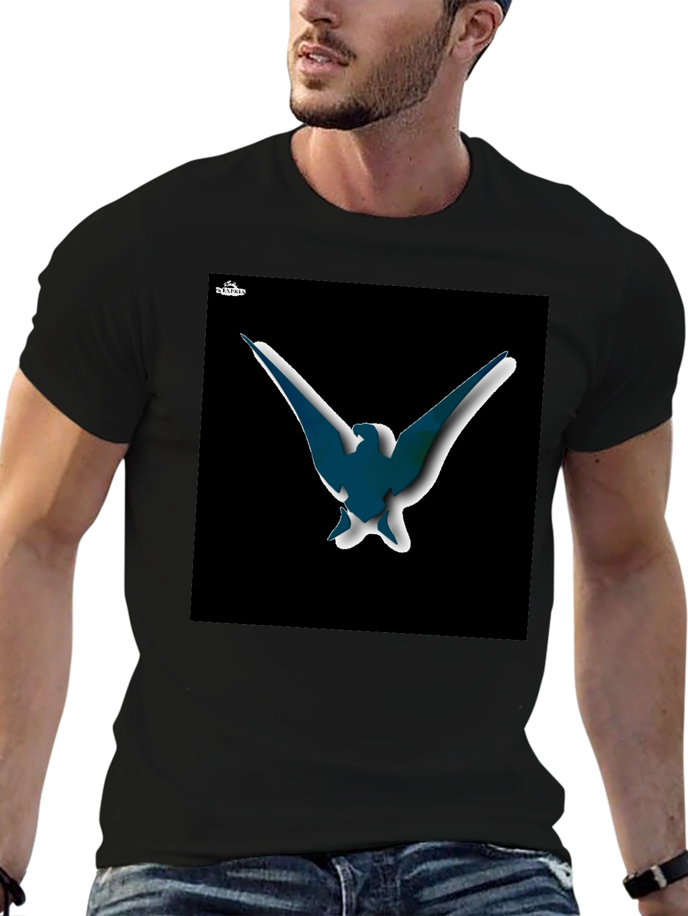 Abstract Bird Graphic T-Shirt - Black
