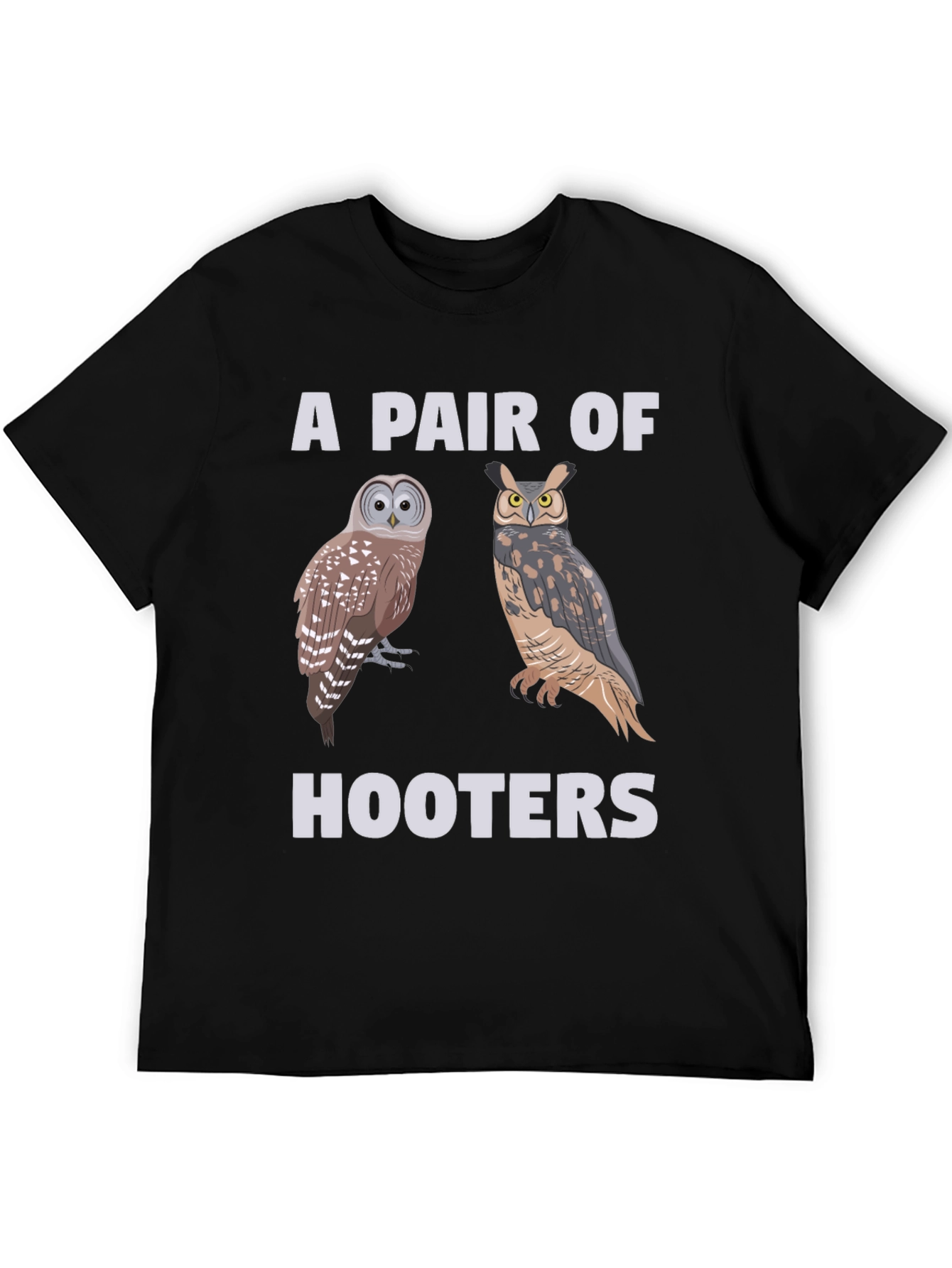 A Pair of Hooters Owls Graphic T-Shirt