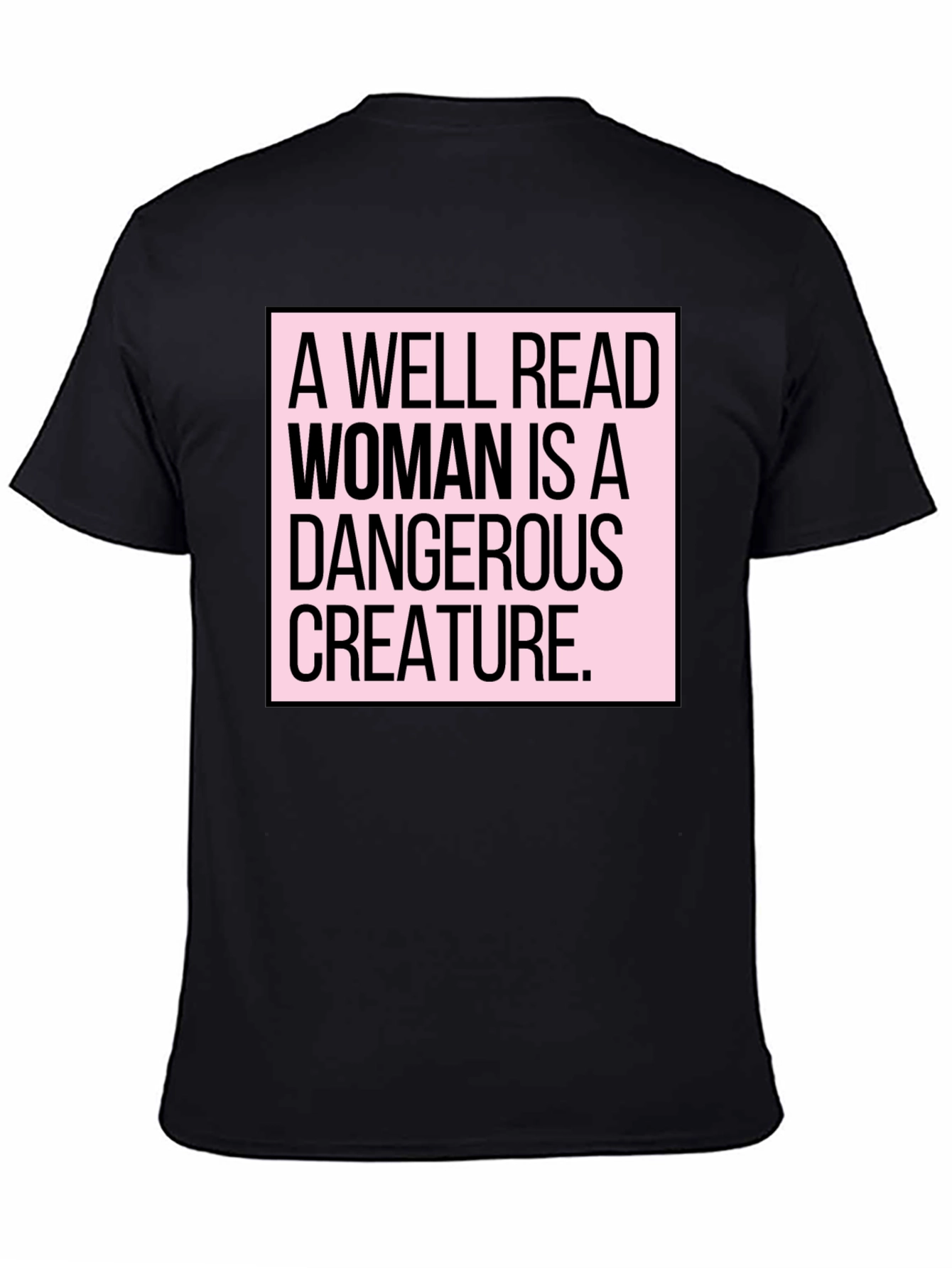 A Well Read Woman is a Dangerous Creature T-Shirt