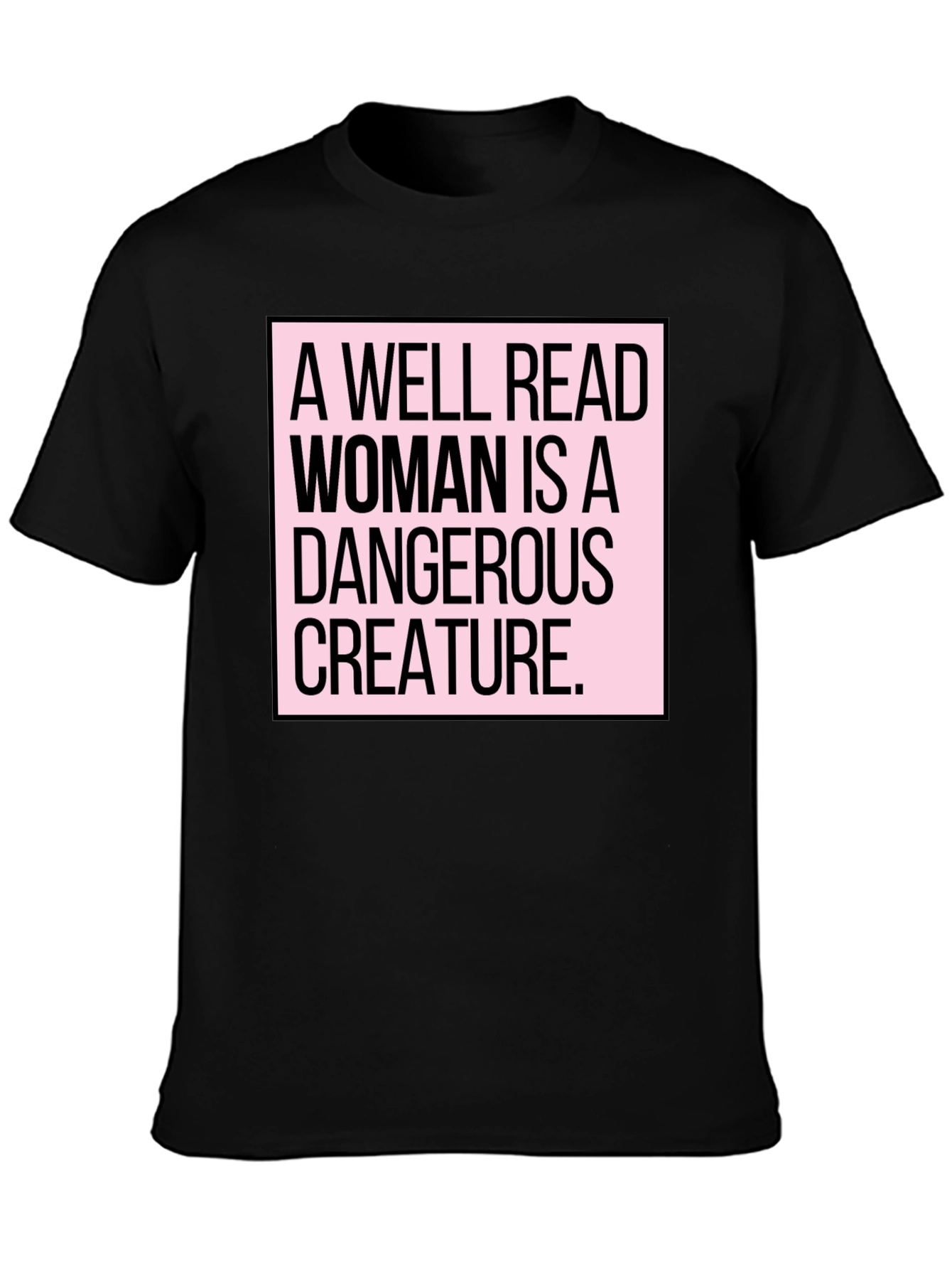 A Well Read Woman is a Dangerous Creature T-Shirt