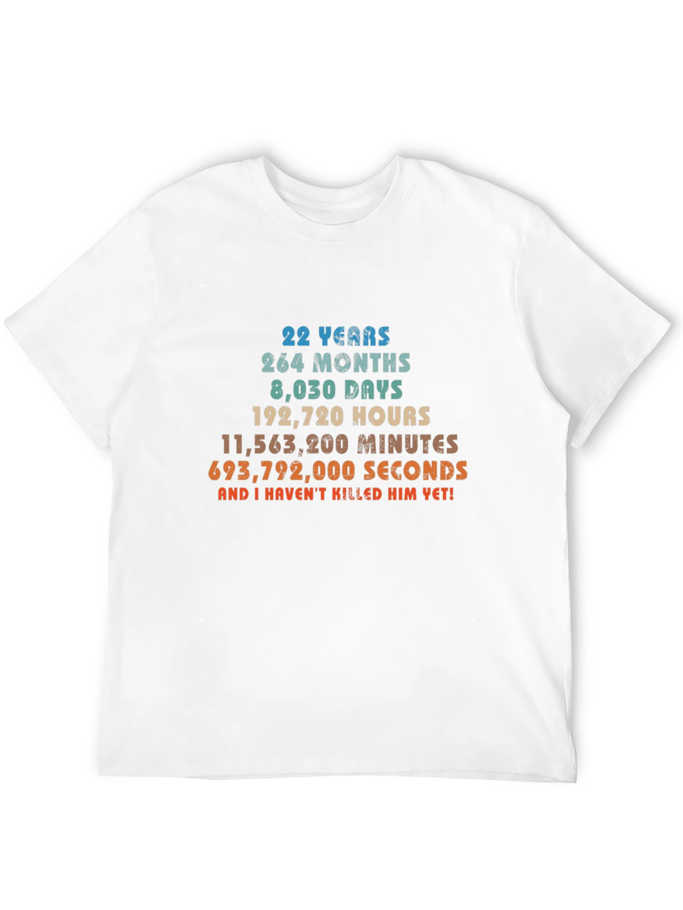 22 Years Anniversary Funny Sarcastic T-Shirt