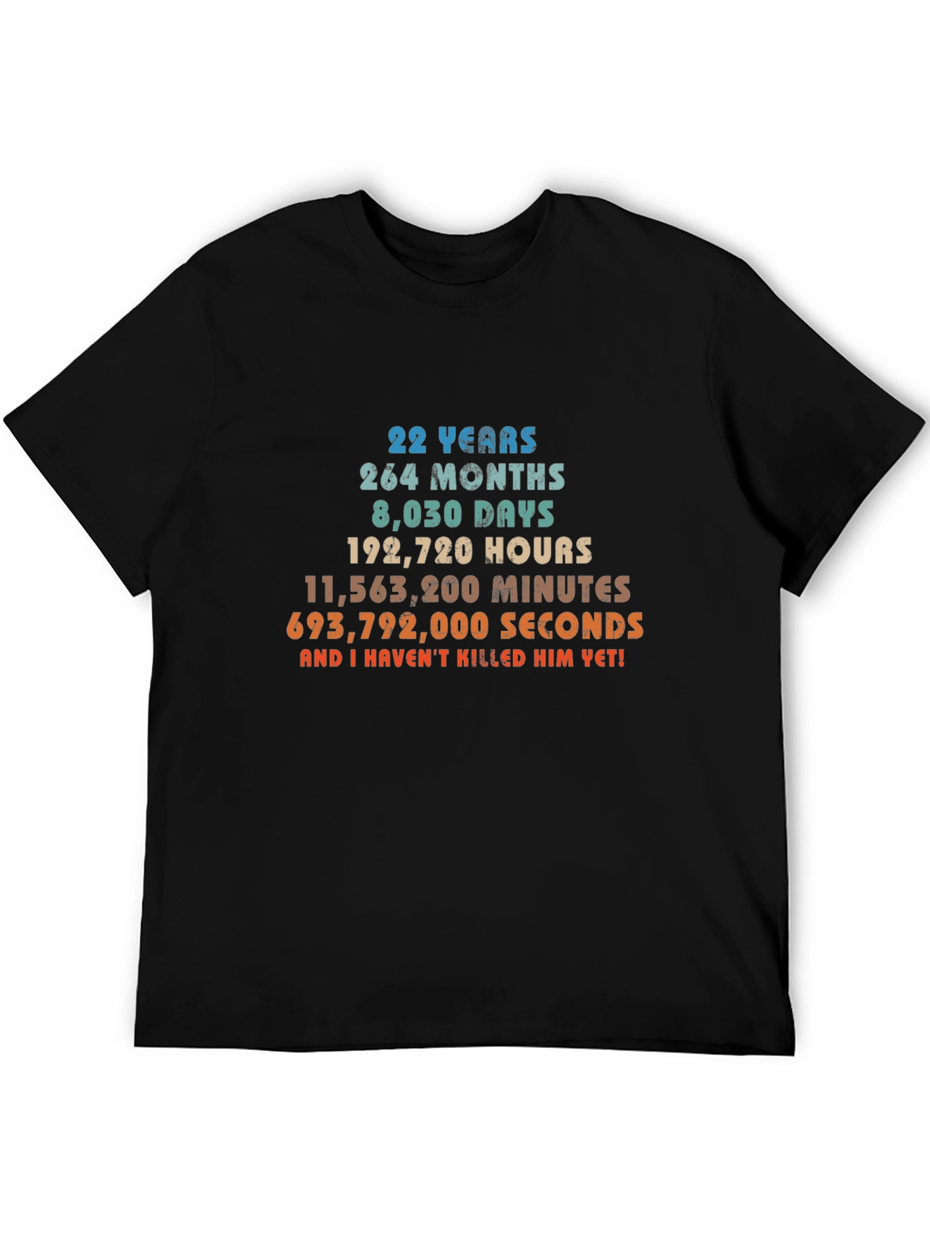 22 Years Anniversary Funny Sarcastic T-Shirt