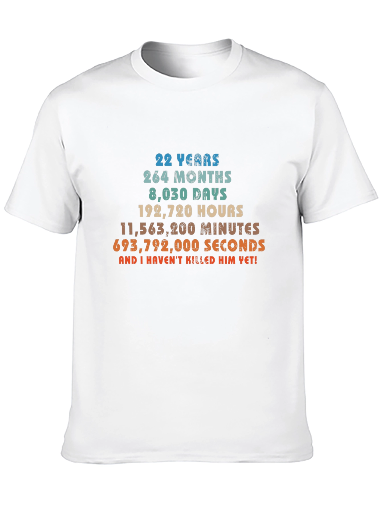 22 Years Anniversary Funny Sarcastic T-Shirt