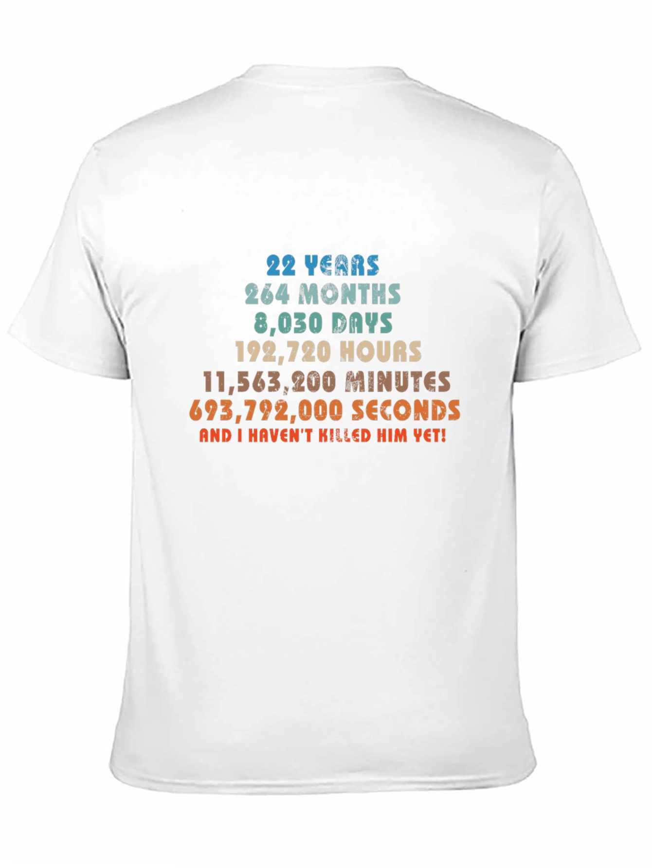 22 Years Anniversary Funny Sarcastic T-Shirt