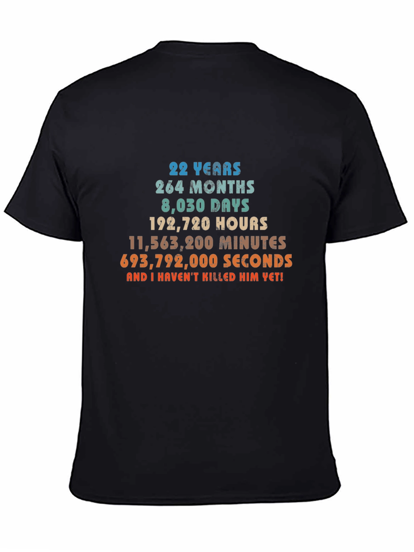22 Years Anniversary Funny Sarcastic T-Shirt