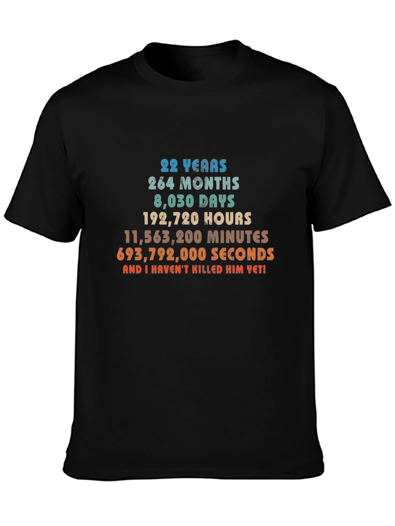 22 Years Anniversary Funny Sarcastic T-Shirt